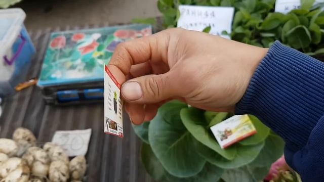 Первый выезд с РАССАДОЙ. 1 ЧАСТЬ. 2 Секрета успешной торговли рассадой. ЛЮБИМЫЕ ❤ТЁЩА❤ С ТЕСТЕМ🤗 смотреть онлайн