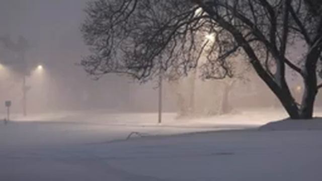 Снежная метель.Успокаивающие звуки зимнего ветра,шелест падающего снега для расслабления,отдыха,сна смотреть онлайн