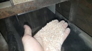 Плющилка зерна