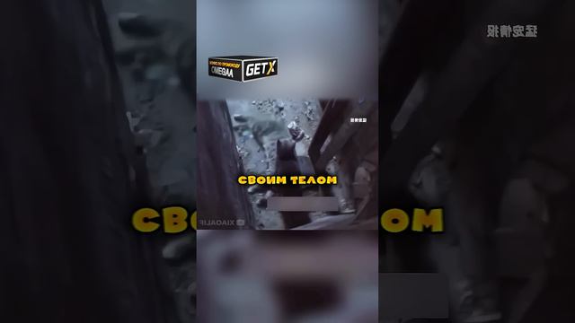 Котенок лечит маму😭 смотреть онлайн
