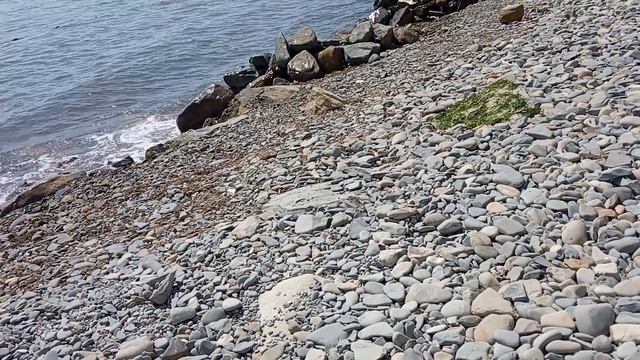 #Анапа Пляж 40 Лет Победы Как водичка? Людей мало! Аромат РОЗ не передать!10 июня смотреть онлайн