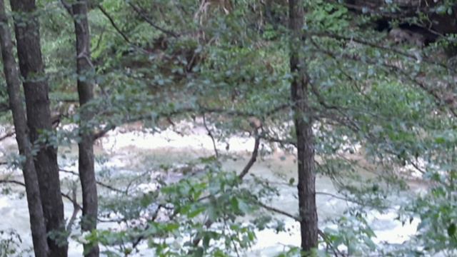 НА ВОДОПАДЫ ГЕЛЕНДЖИКА вот и пришла ВОДА... смотреть онлайн