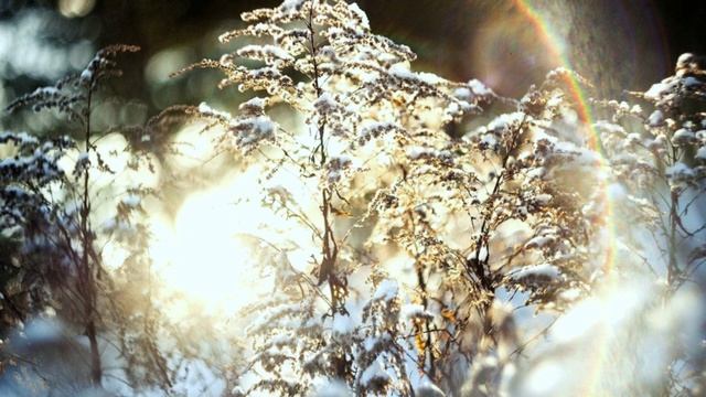 Духовное развитие в Пятом измерении.