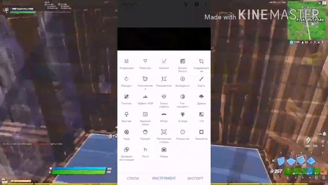 КАК ПОЛЬЗОВАТЬСЯ ПРИЛОЖЕНИЕМ SNAPSEED / СНАПСИД