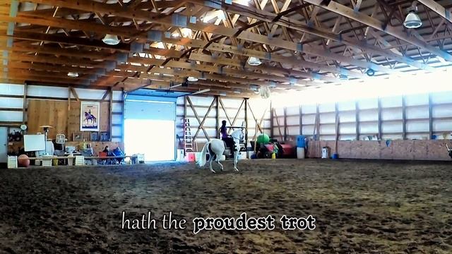 Riding Piaffe, Passage and Spanish Walk on an Andalusian | DiscoverTheHorse [Episode #4] смотреть онлайн