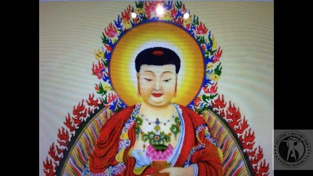 498-Tự tu Tịnh Độ mỗi ngày một bài:Lá thư TĐ Ấn Quang ĐS.Thư đáp anh em ở Vĩnh Gia смотреть онлайн