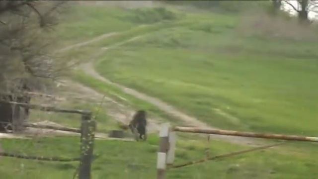рыбалка в Кировоградской области ,терка) смотреть онлайн