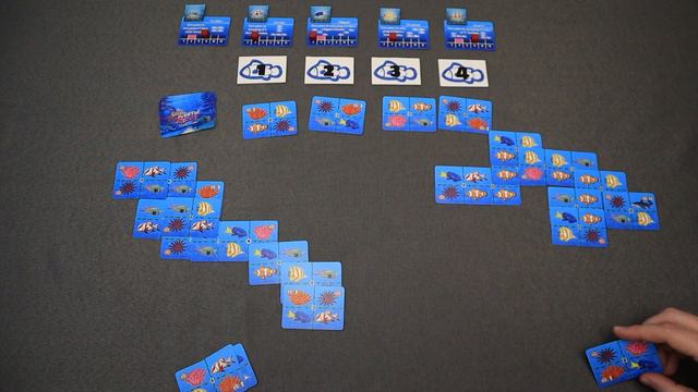 Great Barrier Reef Card Game: Complete Playthrough and Thoughts смотреть онлайн