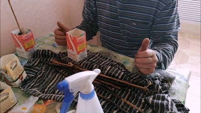 Виноград от черенка до посадки на постоянное место смотреть онлайн