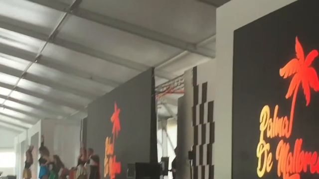 Испанский танец на конференции в Хорватии смотреть онлайн
