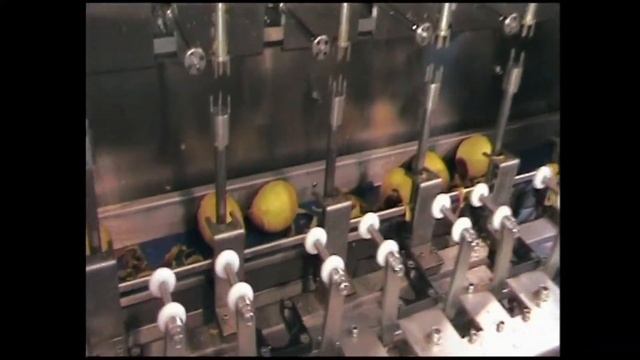Автоматическая очистка манго смотреть онлайн