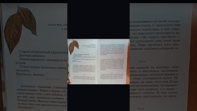 Эльчин Сафарли "...Нет воспоминаний без тебя" смотреть онлайн