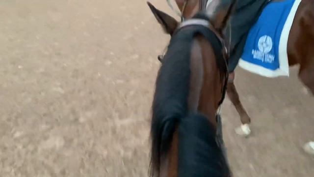 Bahria Town Rudd club Rawalpindi |Horse Riding Pakistan| Islamabad Weather?@BahriaTownLtd смотреть онлайн