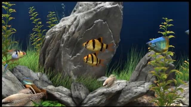 Screensaver Dream Aquarium - Virtual Aquarium HD смотреть онлайн