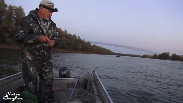 Судак, чехонь и другие октябрь на Ахтубе смотреть онлайн