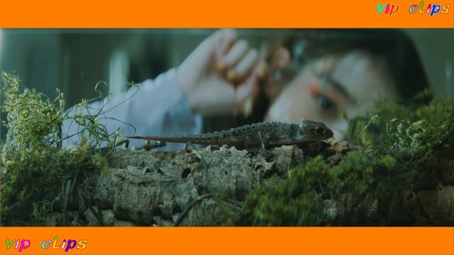 666@DEVIL (Deep Sound Style Rework) [MV] 2021 смотреть онлайн