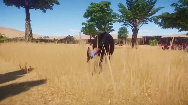 Planet Zoo (PC)(English) #96 8 Minutes of Southern Cassowary (Australia DLC) смотреть онлайн