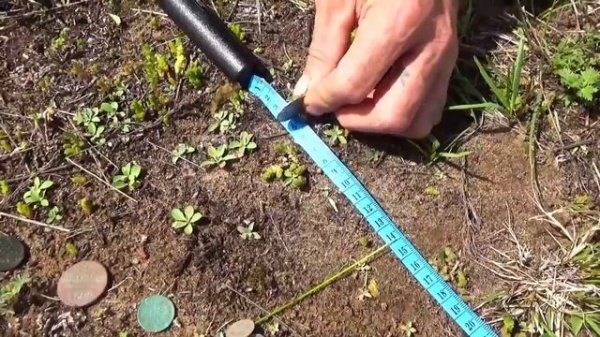 Пинпоинтер, какой выбрать