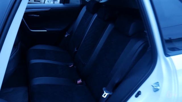 Перевозка животных в машине - что должно быть в салоне автомобиля? смотреть онлайн