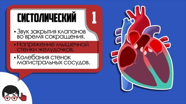 Аускультация сердца, основные тоны смотреть онлайн