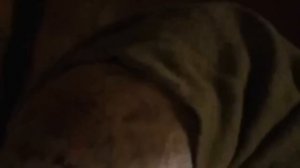 ESTRENO 2024💥MEJOR PELICULAS DE ACCION Pelicula, Completa en Espanol Latino HD