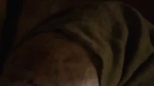 ESTRENO 2024💥MEJOR PELICULAS DE ACCION Pelicula, Completa en Espanol Latino HD