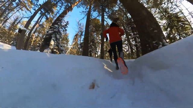 Субботинг на Столбах. Горностай, пантера, лев и все все все.