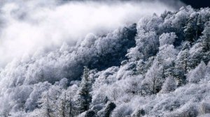 "Держаться за воздух",Би-2