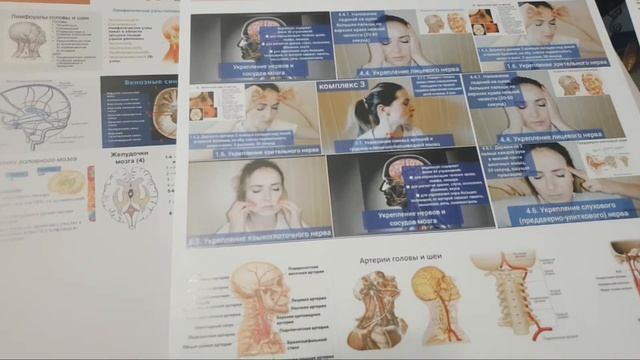 Как Укрепить Сосуды Мозга И Шеи? смотреть онлайн