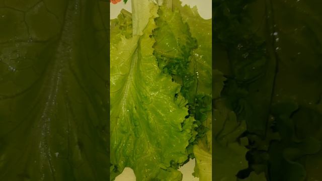 #что приготовить на обед#сердце куриное #готовимдома #домашняякухня #аппетитно #мясо смотреть онлайн