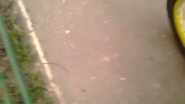 Путешествие по району Кожухово. Часть 2 смотреть онлайн