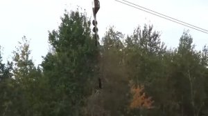 Обрезка деревьев с помощью вертолета