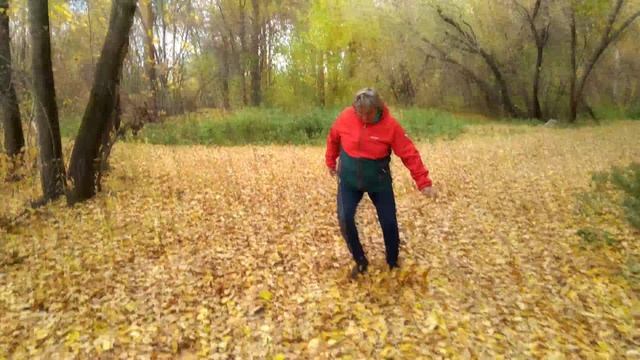 Парк Маяковского (г.Екатеринбург) - 2020 год