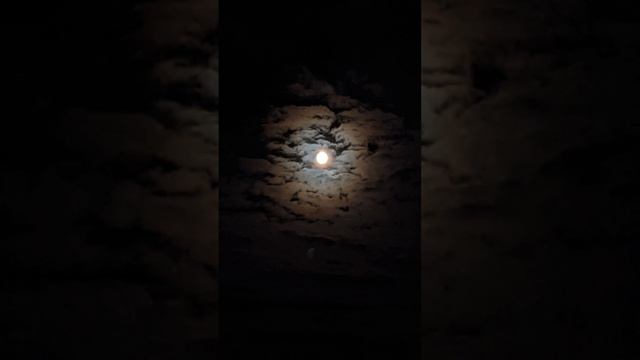 [157]?Созвездие Льва, заполненное тысячами звёзд, сон, ДВЕ ЛУНЫ смотреть онлайн