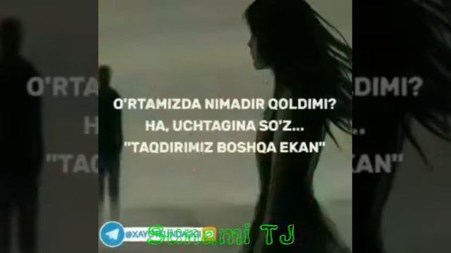 Telba  ( BUGUN UNI TUYI ??? )