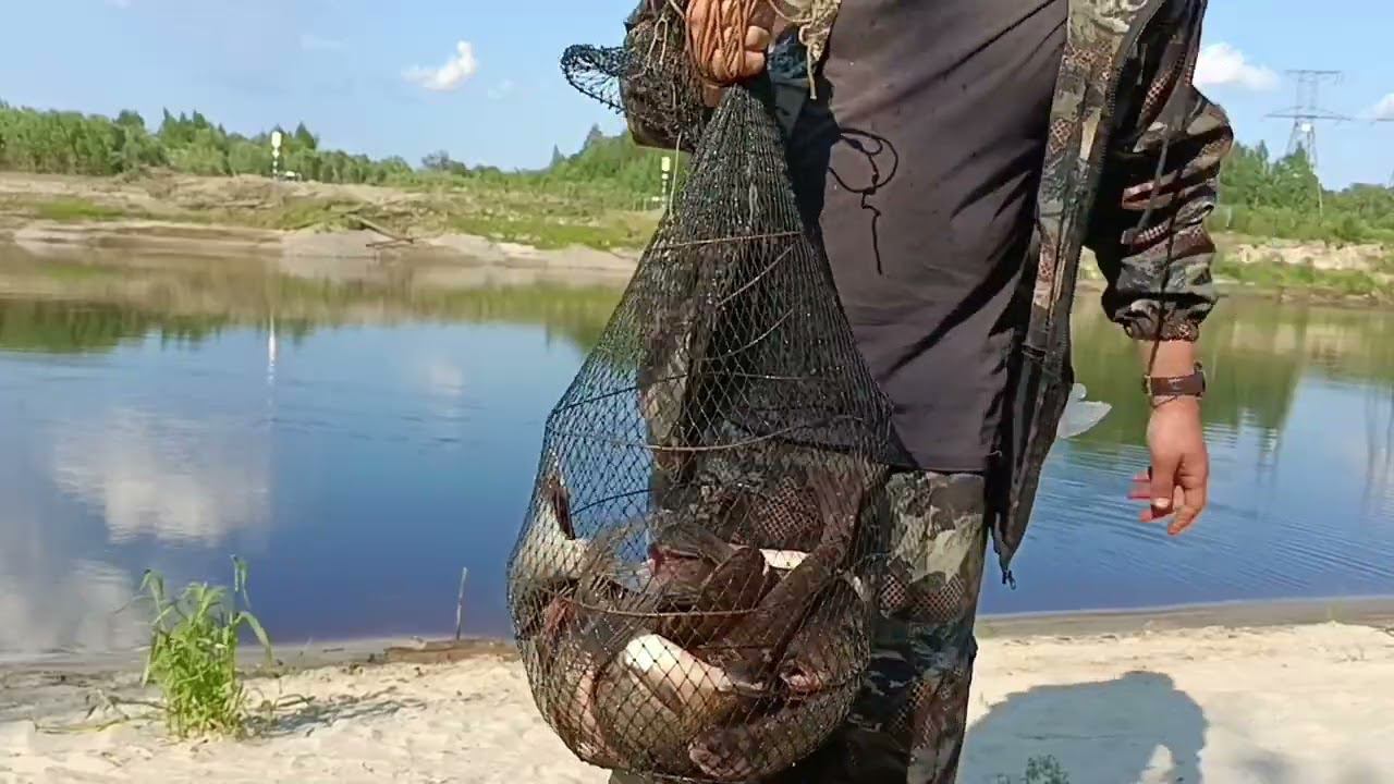 Погода наладилась. Кратко о сегодняшней рыбалке. смотреть онлайн