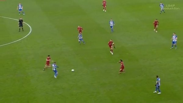 Байчетич ?️ Брайтон