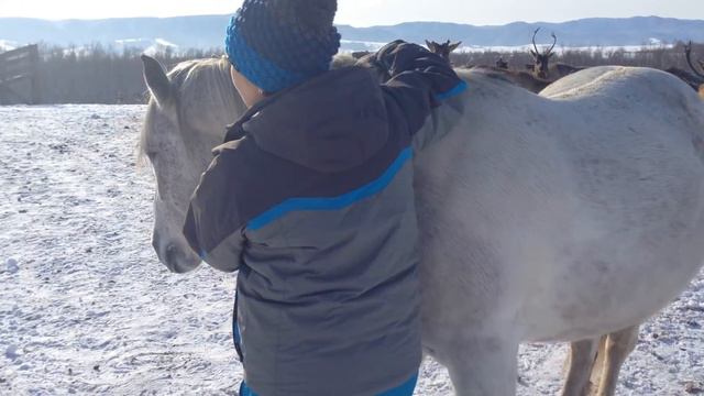 Звери ледникового периода Алтай смотреть онлайн