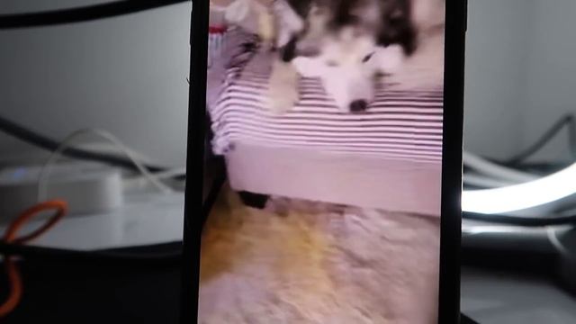 FaZe Member CAUGHT On Google Maps смотреть онлайн