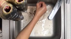 Как быстро УБИТЬ КАРПА дома. Зеркальный карп. Разделка карпа живого. Карп с маркета, как очистить.