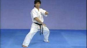 Каратэ Киокушинкай: Ката - Сейнчин | Kyokushin Karate: Kata - Seienchin