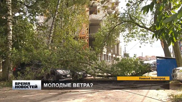 Ураган повалил деревья смотреть онлайн