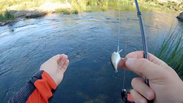 ВОБЛЕР ДЛЯ ГОЛОВНЯ рибалка літом у спеку на спінінг ультралайт Azura Sawada смотреть онлайн