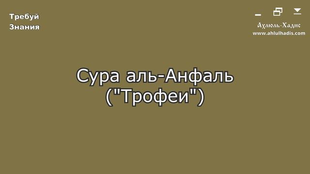 8. Сура аль-Анфаль. Шейх Яхья аль-Хаджури. (سورة الأنفال. الشيخ يحيى الحجوري) смотреть онлайн