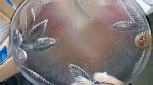 ОбАлДеЛа от такой находки !Уникальные вещи на свалке в Австралии.Это надо видеть ! Элла Австралия