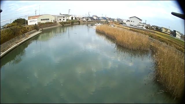 THY TY T6 Phantasm 181127_夕暮れ時に 水鳥に近づいてみました смотреть онлайн