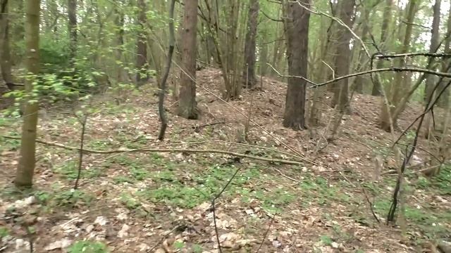Сморгонь. Лес-2. Блиндажи и разр бункеры в юго-зап выступе леса смотреть онлайн