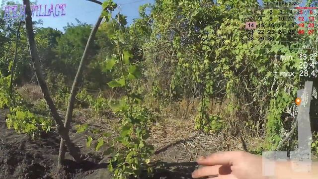 Развел воду по участку. смотреть онлайн