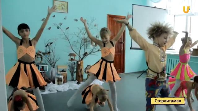 U news День встречи зимующих птиц смотреть онлайн