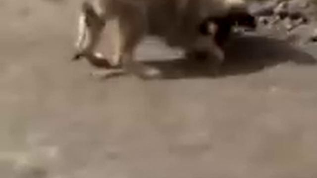 Вот это Дакан. смотреть онлайн
